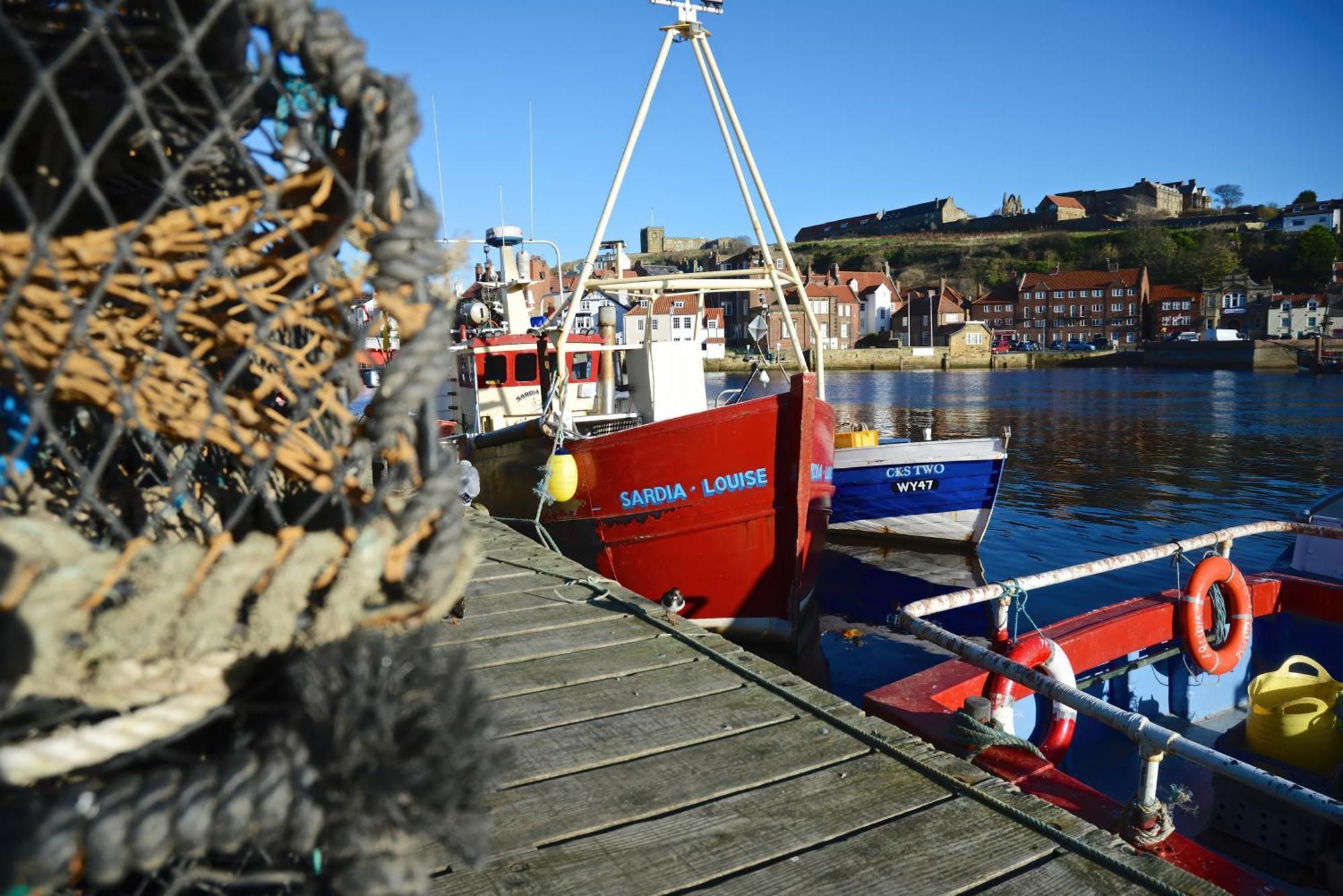 5 Ivy Yard * Whitby